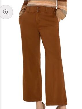 Liverpool High Rise Cinch Waist Wide Leg Pant - Jasper Brown - Size 6/28